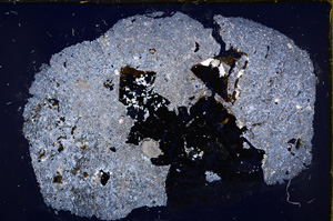 Cross Polarized, E18907