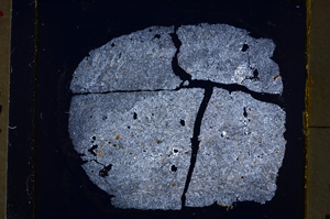 Cross Polarized, E18908