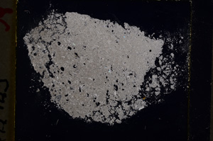 Cross Polarized, E18911