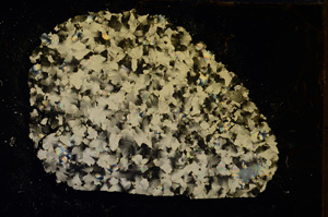 Cross Polarized, E18920