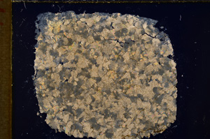 Cross Polarized, E18920/A