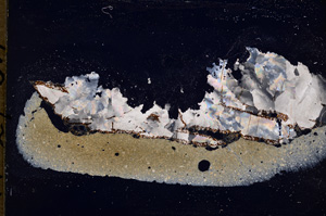 Cross Polarized, E18922