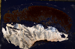 Cross Polarized, E18922/A