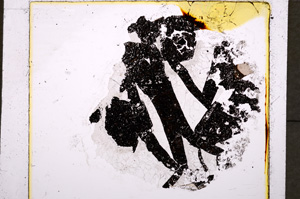 Plane Polarized, E18923/A