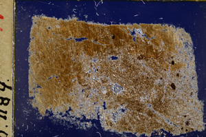 Cross Polarized, E18949