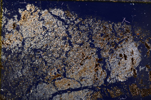 Cross Polarized, E18952