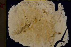 Cross Polarized, E18965