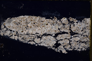 Cross Polarized, E18969