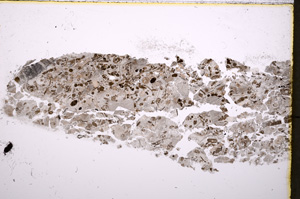 Plane Polarized, E18969