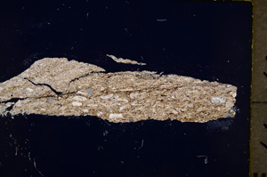 Cross Polarized, E18975