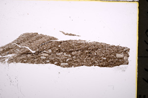Plane Polarized, E18975