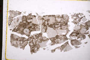 Plane Polarized, E18978