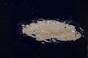 Cross Polarized, E18982