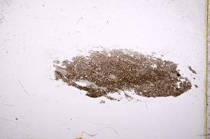 Plane Polarized, E18982