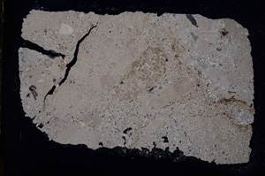 Cross Polarized, E18985