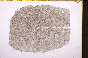 Plane Polarized, E18987