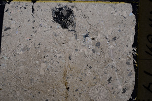 Cross Polarized, E18989