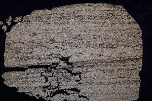 Cross Polarized, E18990