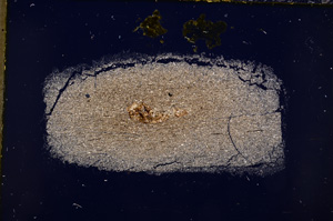 Cross Polarized, E18993