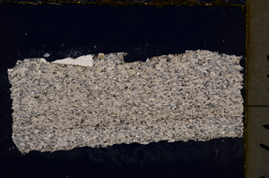 Cross Polarized, E18994