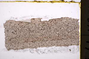 Plane Polarized, E18994