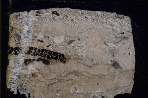 Cross Polarized, E19000