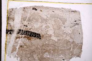 Plane Polarized, E19000