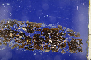 Cross Polarized, E19002