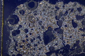 Cross Polarized, E19007