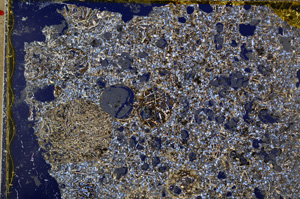 Cross Polarized, E19009