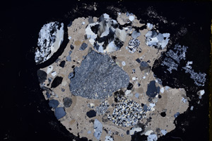 Cross Polarized, E19014