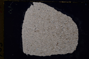 Cross Polarized, E19015