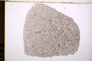 Plane Polarized, E19015