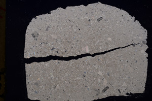 Cross Polarized, E19016