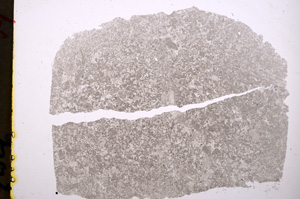 Plane Polarized, E19016