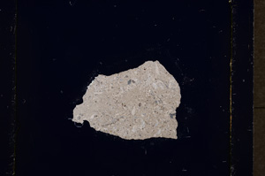 Cross Polarized, E19017