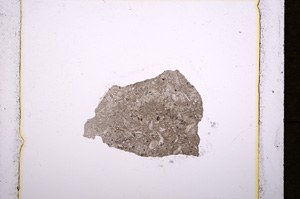 Plane Polarized, E19017