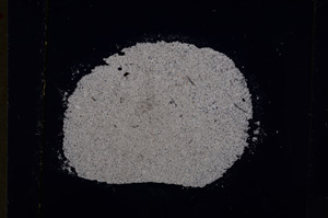 Cross Polarized, E19019