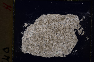 Cross Polarized, E19030