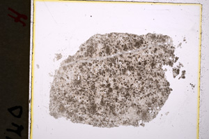 Plane Polarized, E19030