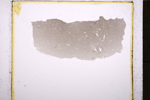 Plane Polarized, E19032