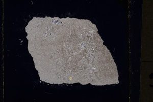 Cross Polarized, E19046