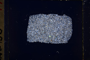 Cross Polarized, E19062