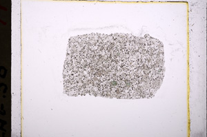 Plane Polarized, E19062