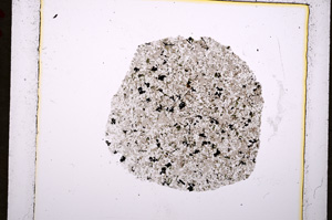 Plane Polarized, E19089