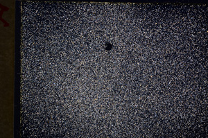 Cross Polarized, E19098