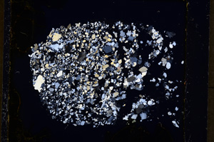 Cross Polarized, E19101