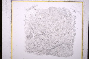 Plane Polarized, E19116