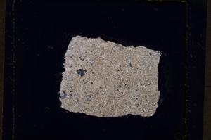 Cross Polarized, E19117