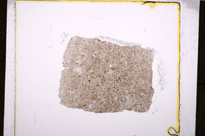 Plane Polarized, E19117